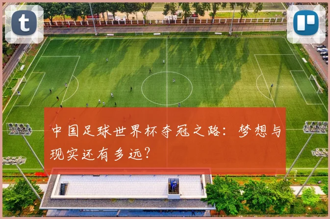 中国足球世界杯夺冠之路：梦想与现实还有多远？